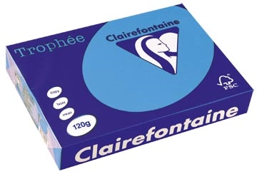 Een Clairefontaine Trophée Intens, gekleurd papier, A4, 120 g, 250 vel, koningsblauw koop je bij Omnia 4 Office